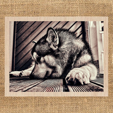 ALASKAN MALAMUTE Glowforge laser file 3DWave